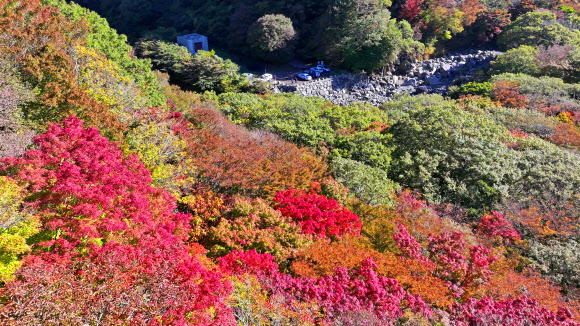 23일 오전 탐방객이 단풍이 곱게 든 제주 한라산 천아계곡에서 가을 정취를 만끽하고 있다. 2023.10.23 연합뉴스