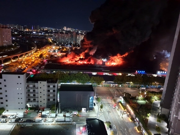 지난해 10월 25일 오후 8시 17분쯤 대구 북구 매천동 농수산물 도매시장에서 발생한 화재. 대구소방안전본부 제공