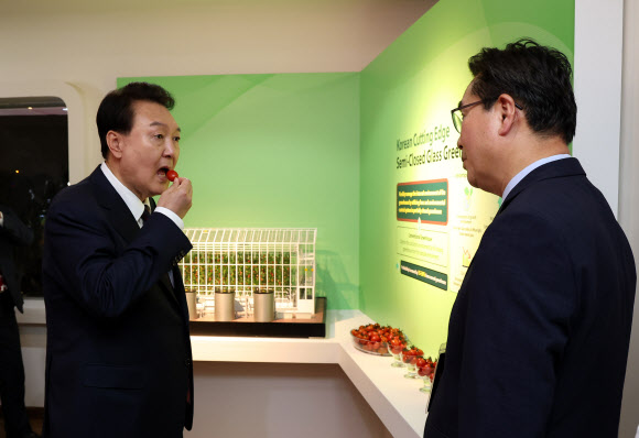 카타르를 국빈 방문한 윤석열 대통령이 24일(현지시간) 도하의 알 비다 공원에서 열린 도하 국제원예박람회 한국관 개관식을 찾아 한국형 스마트농업 전시관에 설치된 반밀폐온실에서 스테비아 토마토를 시식하고 있다. 2023.10.25  연합뉴스