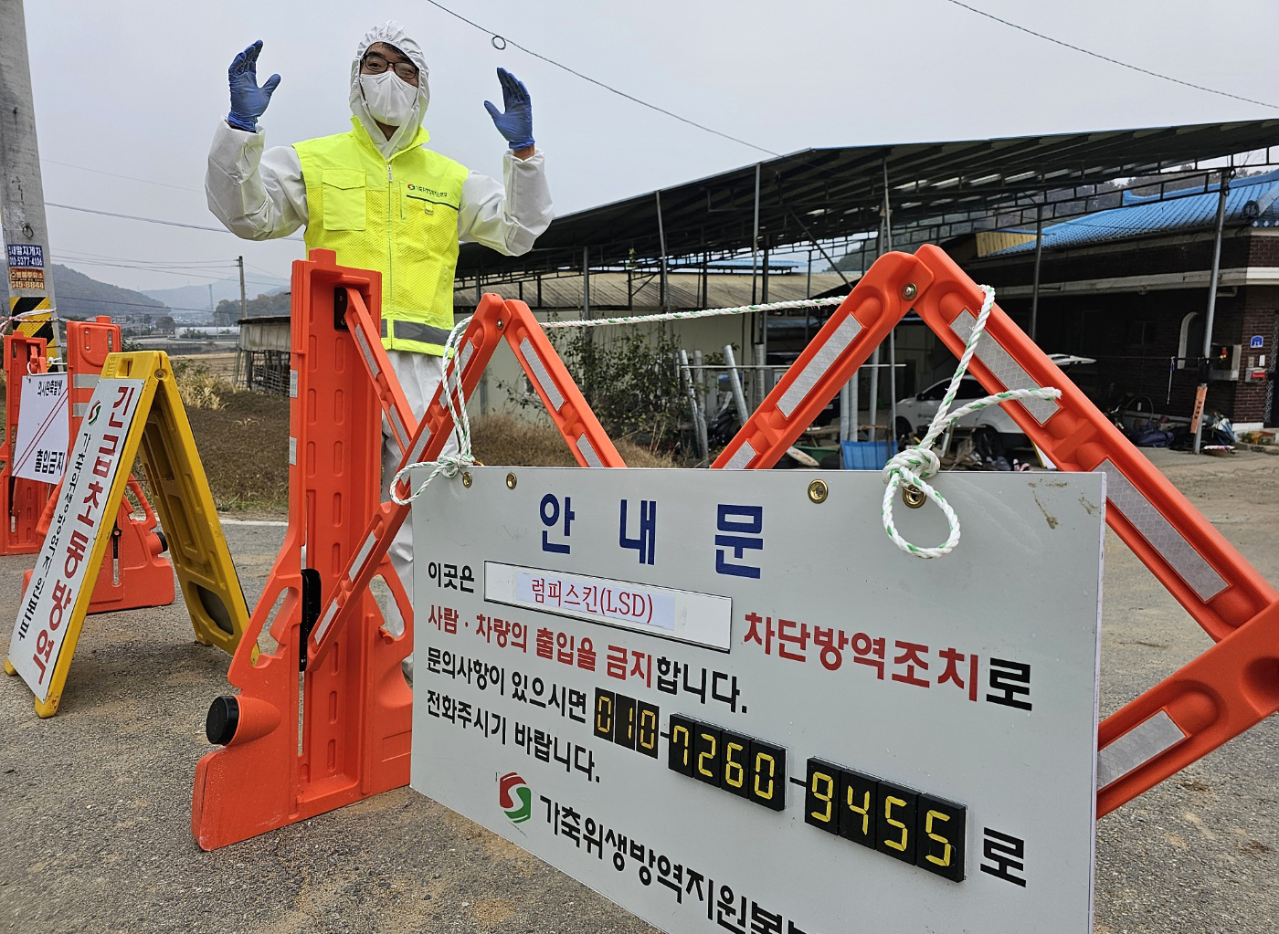 횡성한우 농가서 럼피스킨병 확진…출입 통제