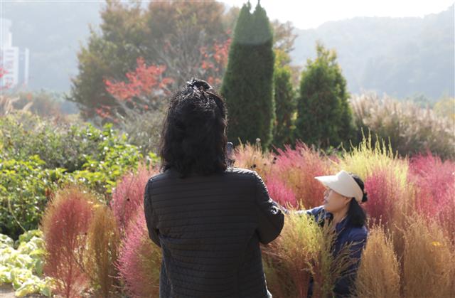 인생샷 ‘찰칵’