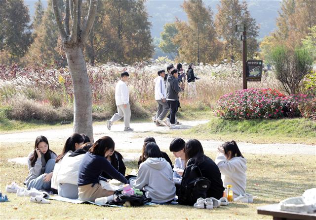 27일 울산 태화강국가정원에서 시민들이 선선한 가을날씨를 만끽하며 시간을 보내고 있다.2023.10.27 뉴스1