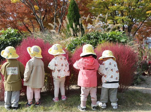 ‘가을 좋아요’