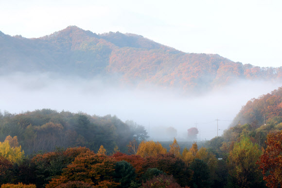가을 안개 소경