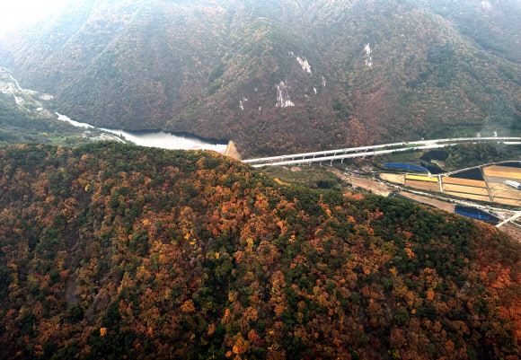 완연한 가을 날씨를 보인 27일 충북 괴산 인근의 야산이 단풍으로 물들어 있다. 대통령실통신사진기자단