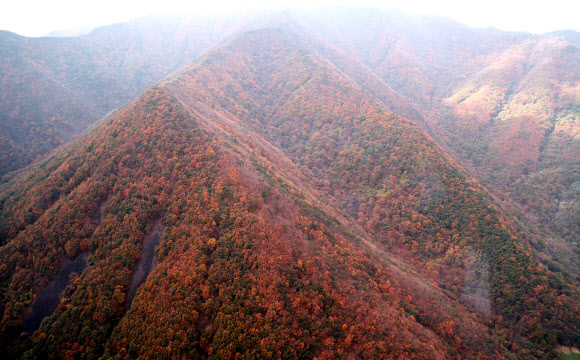 완연한 가을 날씨를 보인 27일 충북 괴산 인근의 야산이 단풍으로 물들어 있다. 2023.10.26. 대통령실통신사진기자단