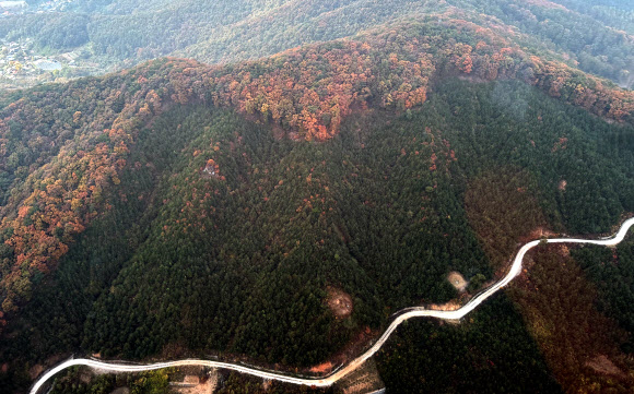 완연한 가을 날씨를 보인 27일 충북 괴산 인근의 야산이 단풍으로 물들어 있다. 대통령실통신사진기자단