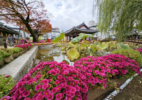 깊어 가는 강원감영의 가을