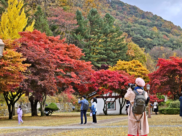 일교차가 큰 날씨가 이어지는 27일 충북 제천시 봉양읍 배론성지에서 시민들이 단풍 사진을 찍고 있다. 2023.10.27. 뉴시스