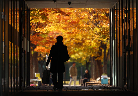 29일 오전 서울 동대문구 이문동 한국외대 캠퍼스에서 건물을 지나는 시민 뒤로 단풍이 곱게 물들어 있다. 2023.10.29  연합뉴스