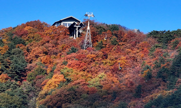 29일 대구 동구 팔공산 케이블카 인근이 단풍으로 물들어 있다. 2023.10.29  연합뉴스