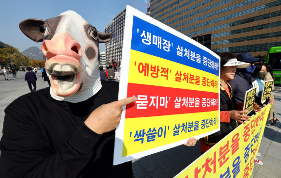 30일 서울 종로구 광화문광장 이순신장군 동상 앞에서 열린 럼피스킨병 살처분 중단 촉구 기자회견에서 한국동물보호연합 회원들이 손팻말을 들고 있다. 2023.10.30 연합뉴스