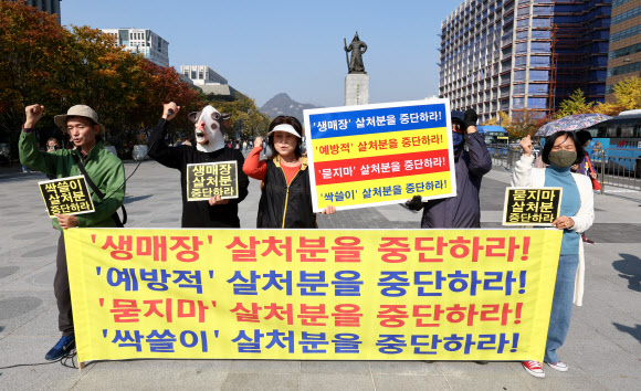 30일 서울 종로구 광화문광장 이순신장군 동상 앞에서 열린 럼피스킨병 살처분 중단 촉구 기자회견에서 한국동물보호연합 회원들이 구호를 외치고 있다. 2023.10.30 연합뉴스