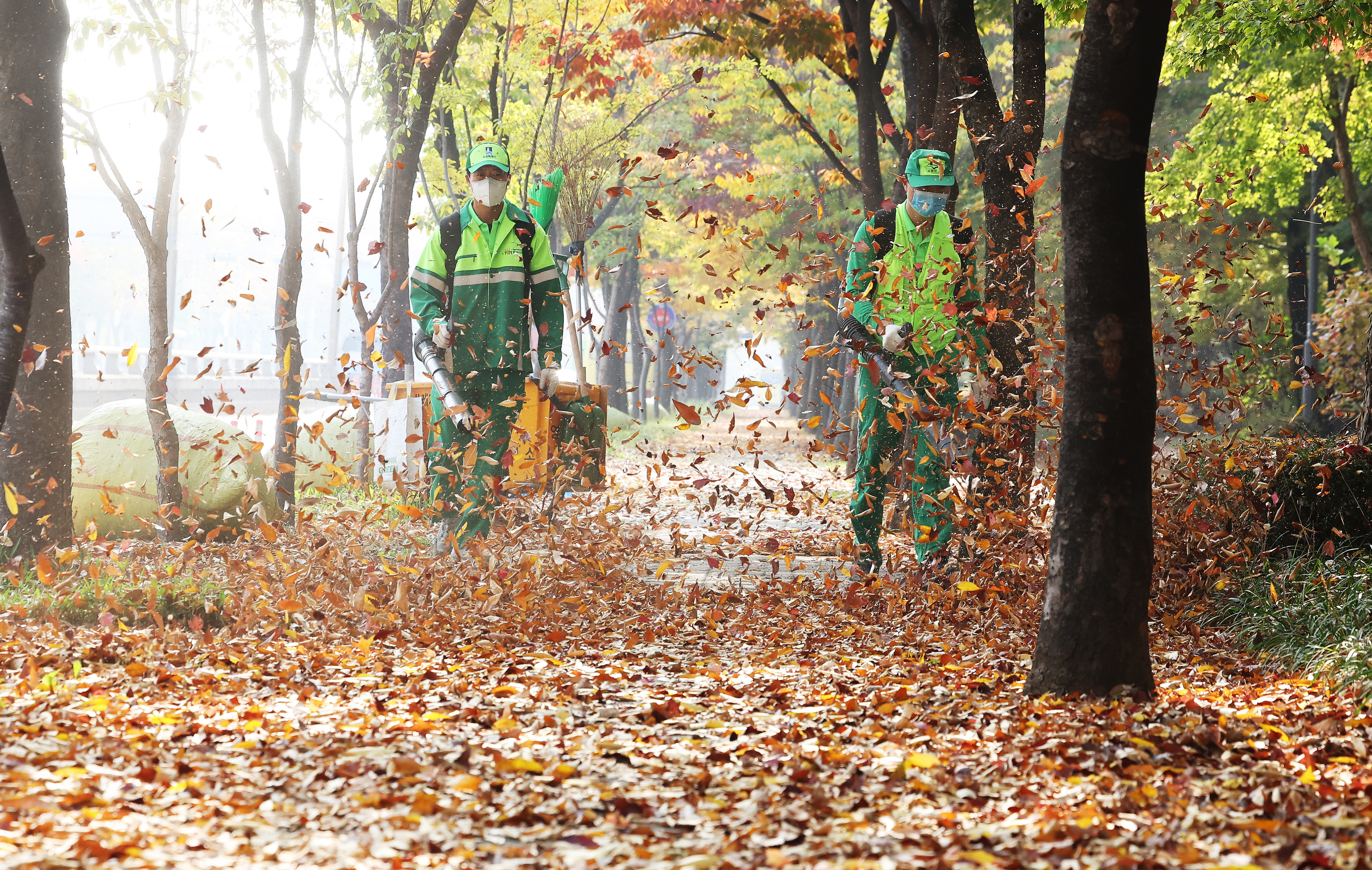 날리는 낙엽 따라 가을도 ‘종종걸음’