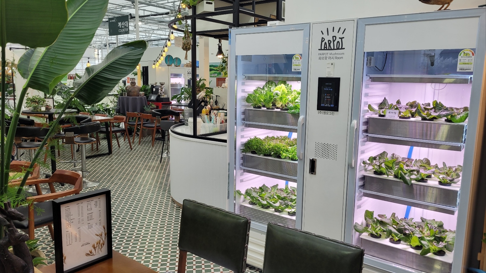 카페 안에 기능성 상추 ‘흑하랑’을 재배하는 밀폐형 식물재배기가 놓여져 있다. 강주리 기자