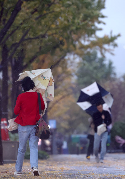 가을바람 너무해