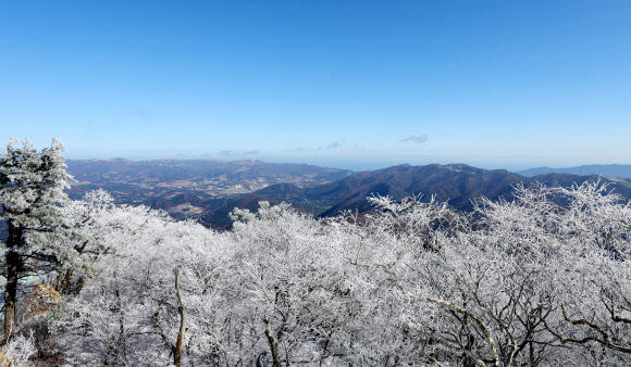 절기상 겨울의 시작을 알리는 입동을 하루 앞둔 7일 강원 평창군 발왕산(해발 1천458m)에 상고대가 활짝 펴 있다. 기상청은 이번 추위가 내일까지 이어질 것으로 내다봤다. 2023.11.7 연합뉴스