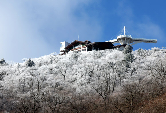 절기상 겨울의 시작을 알리는 입동을 하루 앞둔 7일 강원 평창군 발왕산(해발 1천458m)에 상고대가 활짝 펴 있다. 기상청은 이번 추위가 내일까지 이어질 것으로 내다봤다. 2023.11.7 연합뉴스