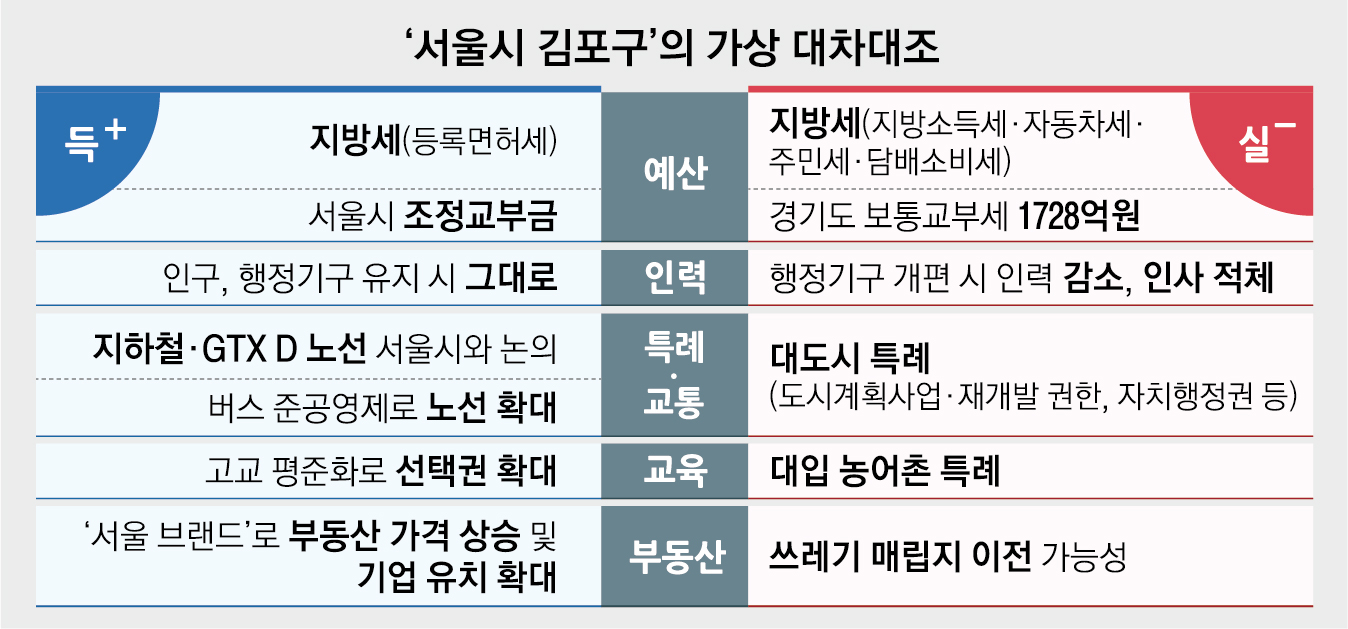 ‘서울시 김포구’의 가상 대차대조표