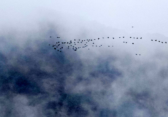 절기상 겨울의 시작을 알리는 입동인 8일 강원 춘천시 의암호에 짙은 물안개가 피어오르고 있다. 기상청에 따르면 이날 전국 곳곳의 아침 최저 기온이 올가을 들어 가장 낮아 추웠다. 2023.11.8 연합뉴스