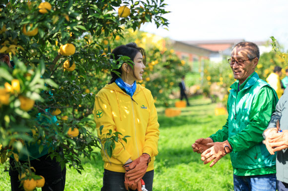 윤석열 대통령이 부인 김건희 여사가 7일 전남 고흥유자체험관을 방문해 유자를 따고 있다. 2023.11.07. 대통령실 제공