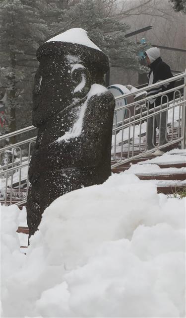 겨울 접어드는 제주