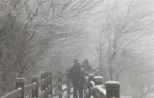 한라산은 어느새 겨울