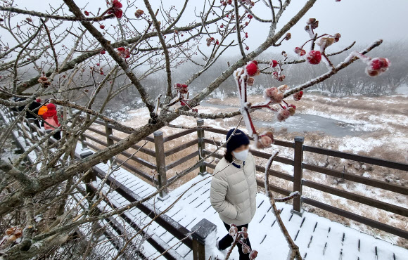 올 가을 들어 가장 추운 날씨를 보인 13일 오전 제주 한라산 1100고지 습지를 찾은 관광객들이 눈쌓인 탐방로를 걸어가고 있다. 기상청에 따르면 이날 한라산 윗세오름 일최저기온은 영하 5.4도를 기록했다. 2023.11.13 뉴시스