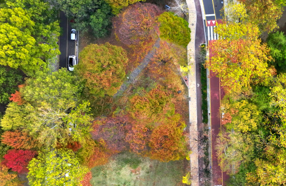 14일 오후 광주 북구 전남대학교 교정이 가을빛으로 물들고 있다. 2023.11.14  연합뉴스