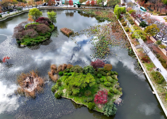 14일 오후 광주 북구 전남대학교 교정에 가을빛이 들고 있다. 2023.11.14  연합뉴스