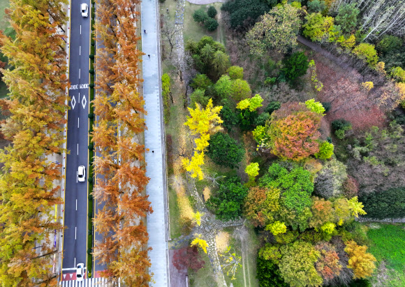14일 오후 광주 북구 전남대학교 교정이 가을빛으로 물들고 있다. 2023.11.14  연합뉴스