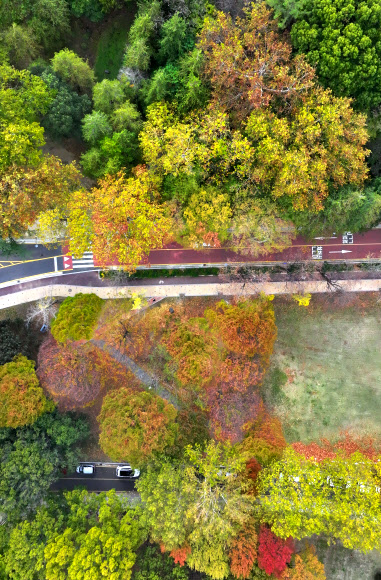 14일 오후 광주 북구 전남대학교 교정이 가을빛으로 물들고 있다. 2023.11.14  연합뉴스
