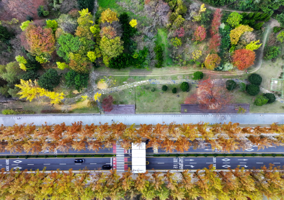 14일 오후 광주 북구 전남대학교 교정이 가을빛으로 물들고 있다. 2023.11.14  연합뉴스