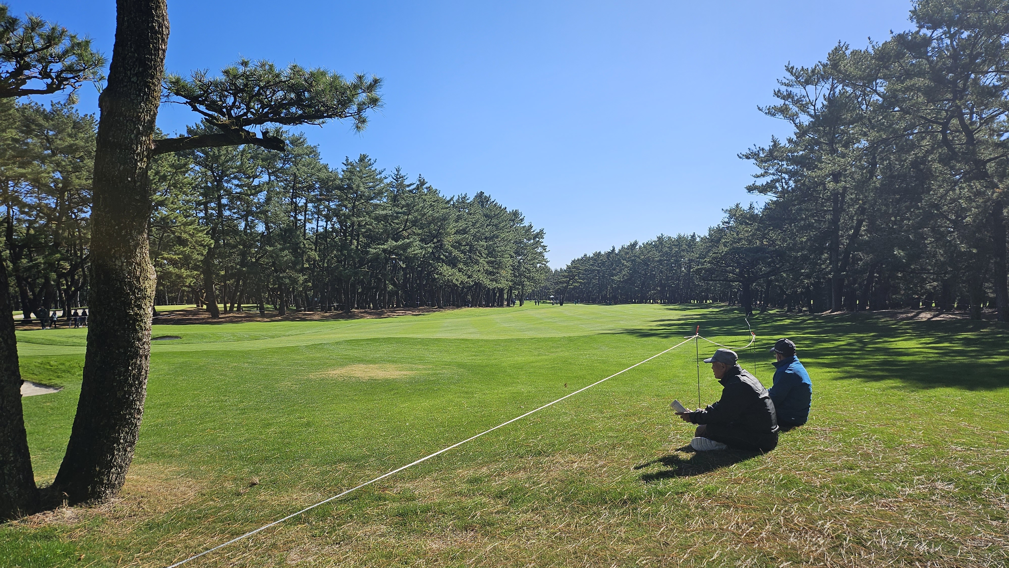 던롭 피닉스 토너먼트가 열리는 일본 미야자키의 피닉스 골프장 5번 홀 페어웨이가 소나무 숲으로 둘러싸여 있다.