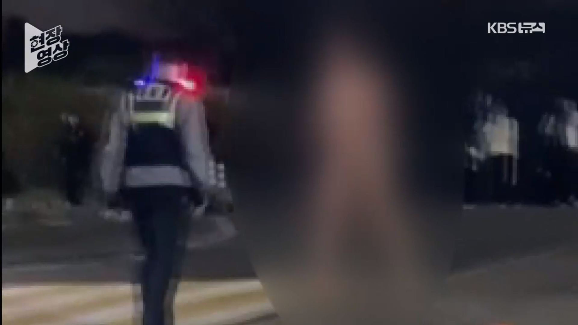 서울의 한 대학교 앞을 벌거벗은 채 돌아다니던 30대 남성이 경찰에 붙잡혔다. KBS 보도화면 캡처