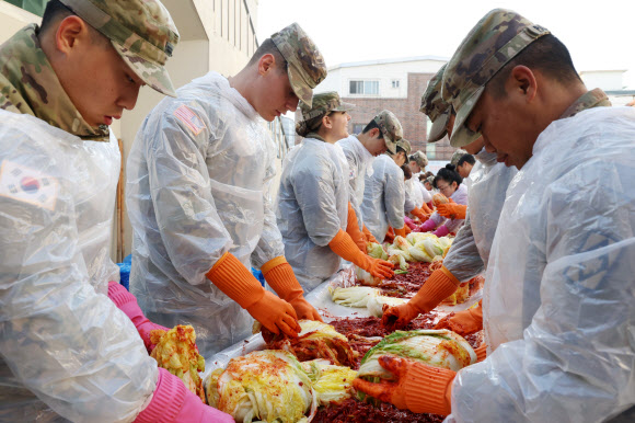 김치의 날인 22일 경기도 동두천시 자원봉사센터에서 주한미군 장병이 카투사 장병과 함께 김치를 만들고 있다. 2023.11.22 연합뉴스