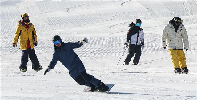 24일 개장한 강원 평창군 용평스키장에서 스키어와 스노보더들이 은빛 설원을 누비고 있다. 2023.11.24. 뉴스1