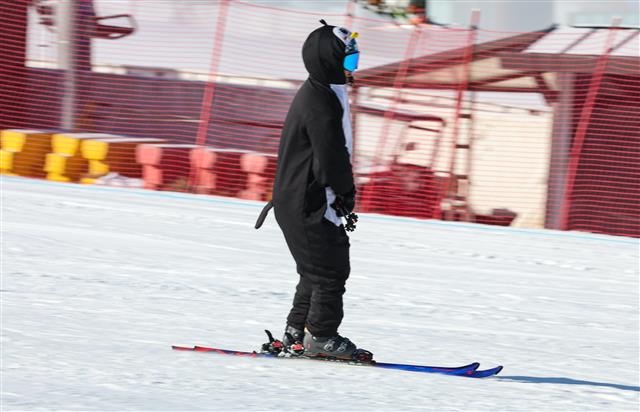 24일 개장한 강원 평창군 용평스키장에서 스키어와 스노보더들이 은빛 설원을 누비고 있다. 2023.11.24. 뉴스1