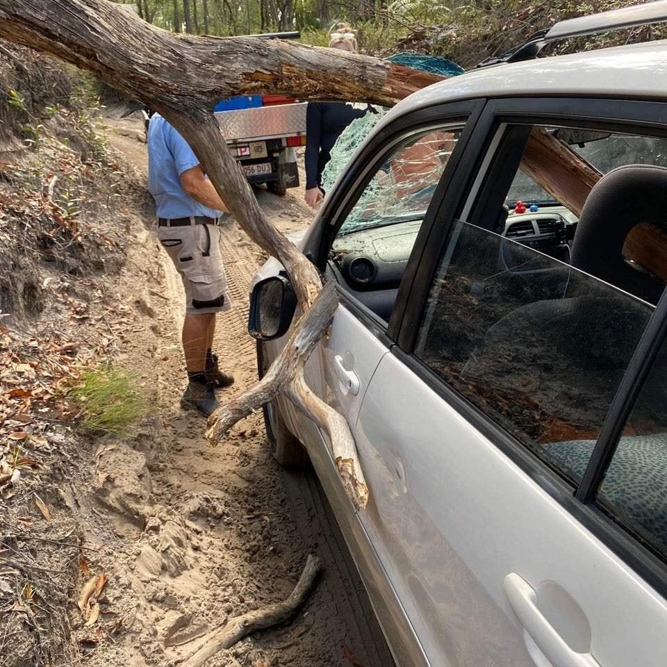 호주 북동부 퀸즐랜드 주 크가리(K’gari) 섬의 멕켄지 호수 인근에서 최근 커다란 나무가 차량을 덮치는 사고가 발생했다.  페이스북 캡처