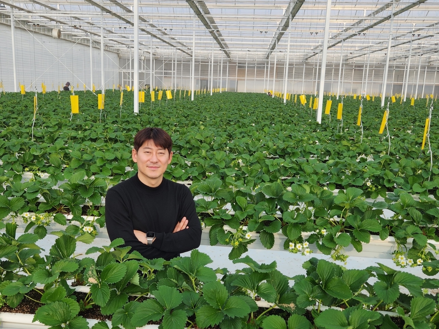 제43회 차세대농어업경영인대상에서 농업인 부문 대통령상을 수상한 박근호씨가 강원 홍천에 위치한 딸기 스마트팜을 선보이고 있다.