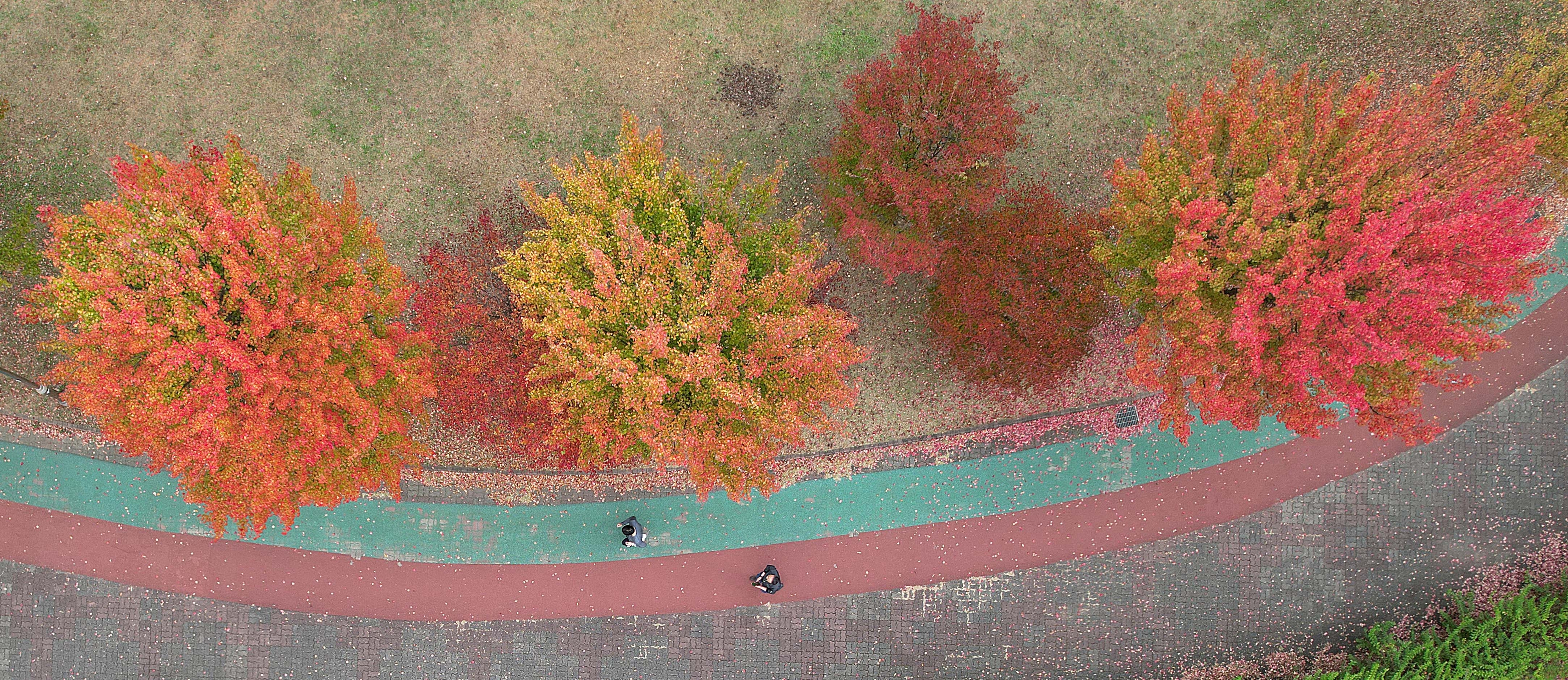 가을 날씨의 절정을 보인 1일 경기도 안산시 안산호수공원에 단풍이 물들어 있다. 2023.11.1 오장환 기자