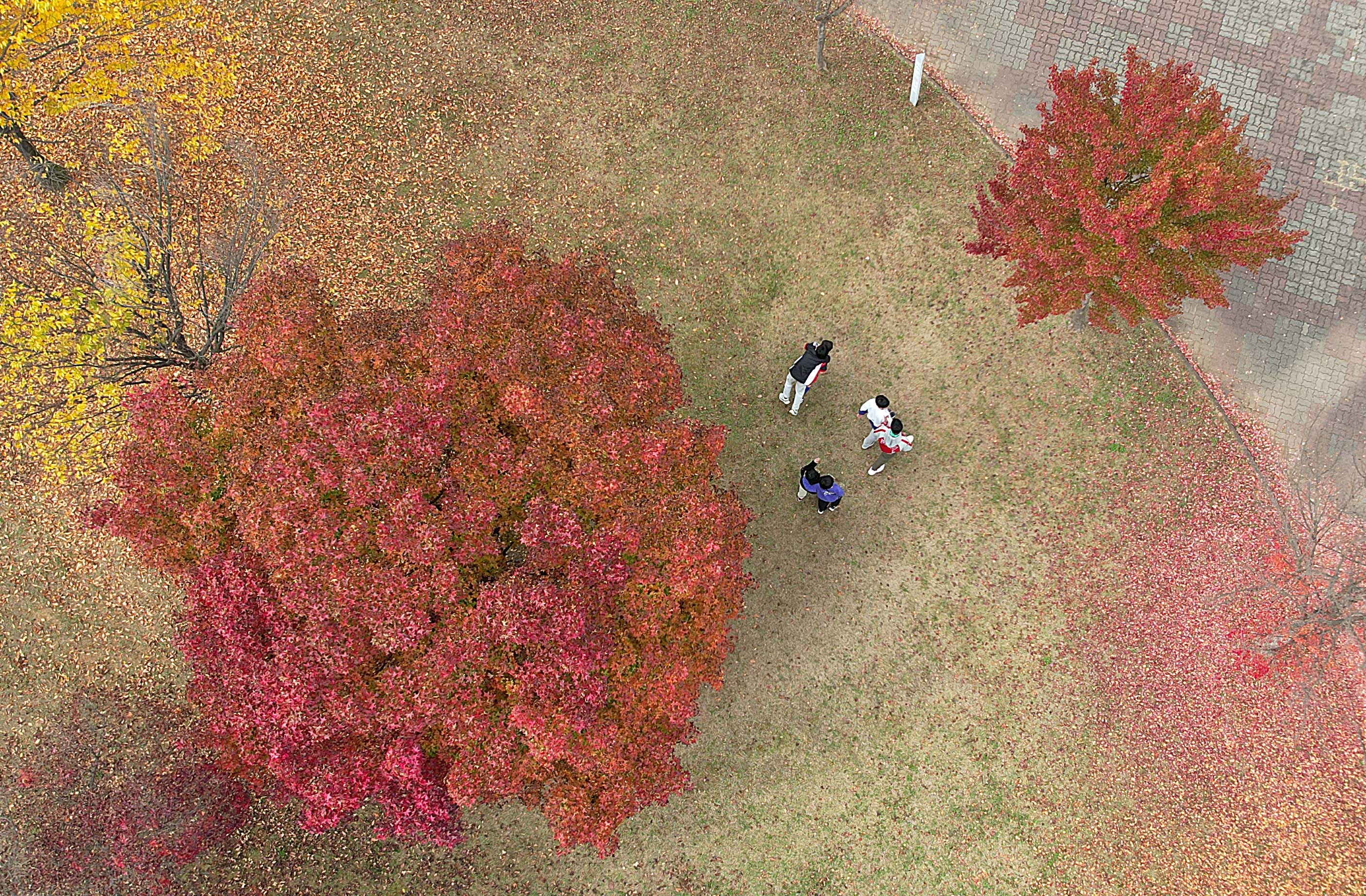 가을 날씨의 절정을 보인 1일 경기도 안산시 안산호수공원에 단풍이 물들어 있다. 2023.11.1 오장환 기자
