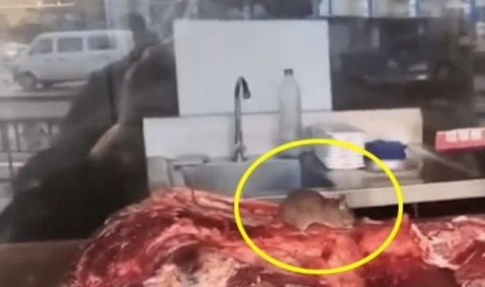 중국의 한 훠궈 체인점에서 쥐 한 마리가 주방 작업대에 놓인 고기를 뜯어 먹고 있는 모습. SNS 캡처