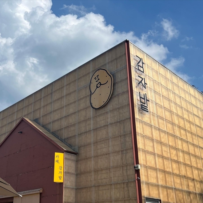 강원 춘천 감자밭 본점.  밭 제공