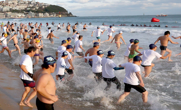 해운대 북극곰축제 겨울바다 입수