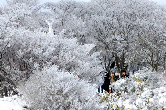 18일 오전 제주 한라산 1100고지를 찾은 탐방객들이 대설이 만들어낸 절경을 감상하고 있다. 2023.12.18  연합뉴스