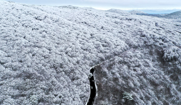 제주 산간에 많은 눈이 내린 19일 오후 제주 한라산 1100도로 주변 골자기가 온통 하얀 눈으로 뒤덮혀 있다. 2023.12.19. 뉴시스