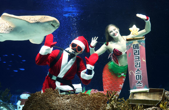 ‘즐거운 크리스마스 보내세요’