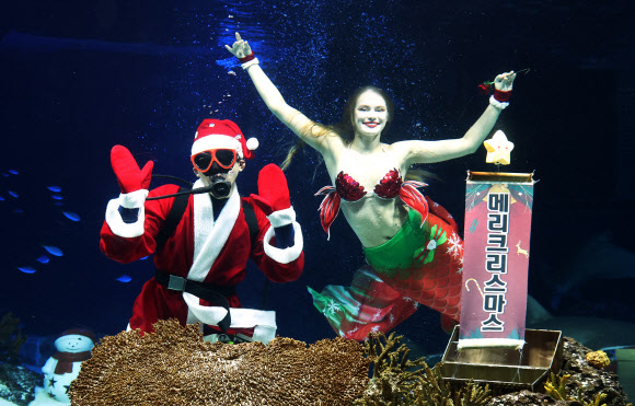 ‘즐거운 크리스마스 보내세요’