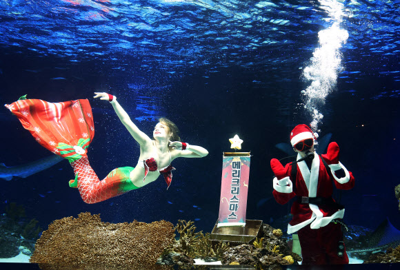 물속에서 전하는 크리스마스 인사